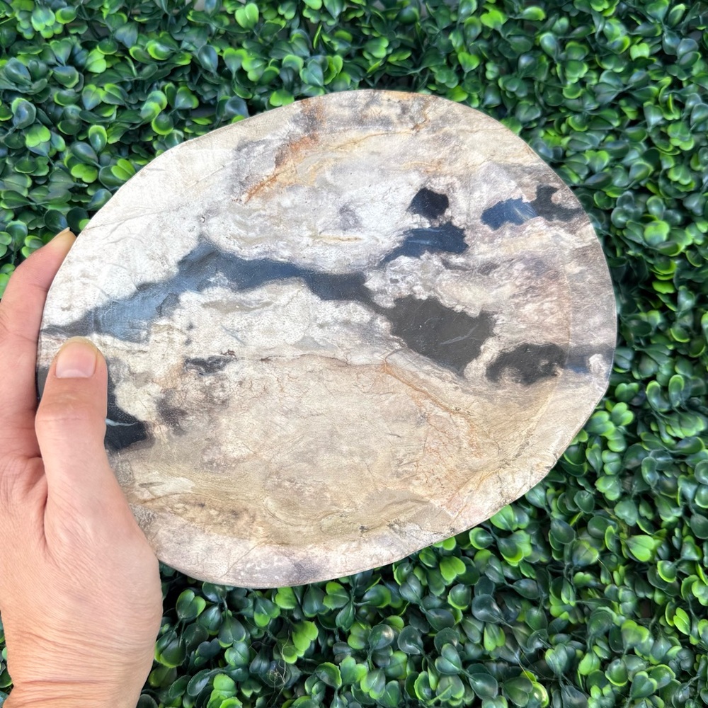 Petrified Wood Bowl • Grounding • Ancestral Wisdom • Earth Energy - Picture 2 of 5